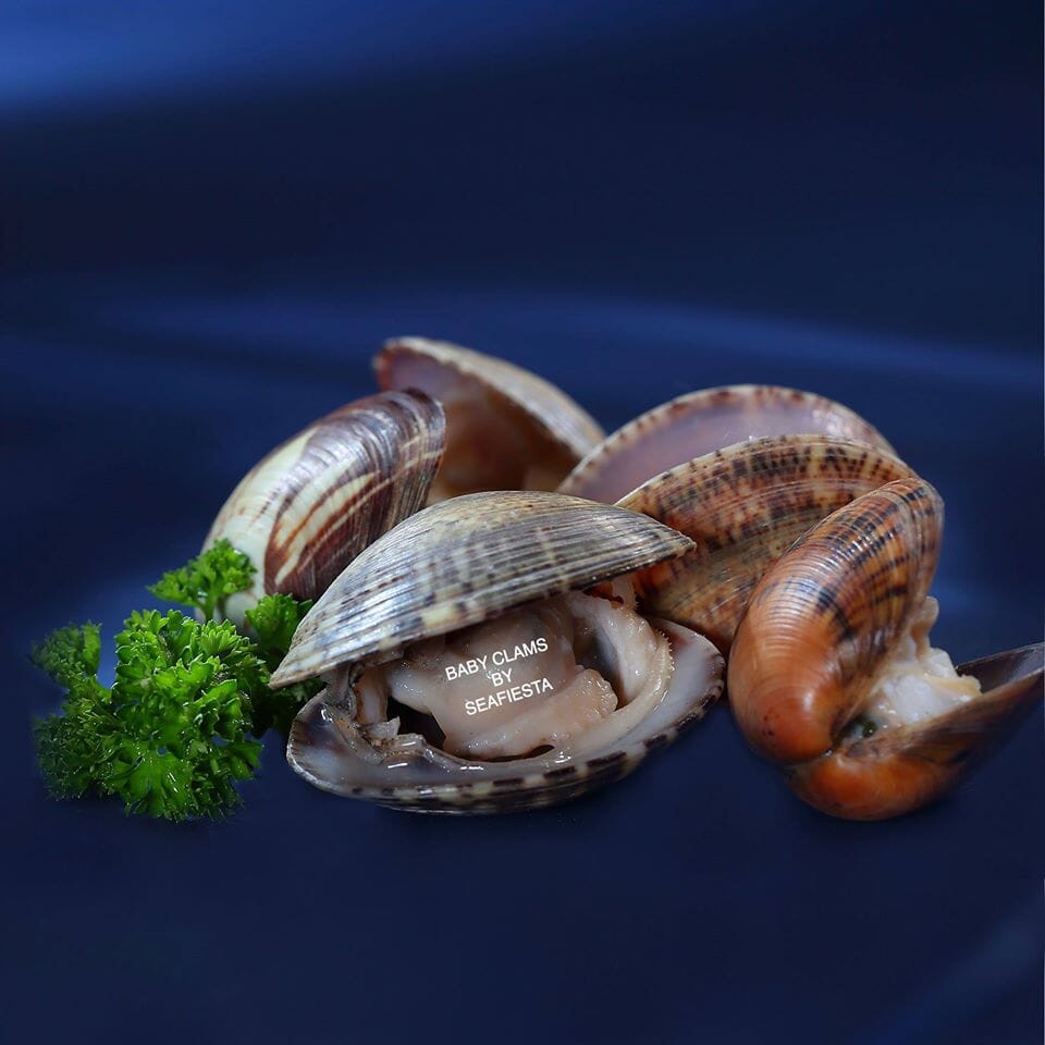 Whole Clams 1 Kg SeaFiesta Seafood