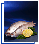 Gourmet seafood assortment – cleaned, boneless, and flash-frozen