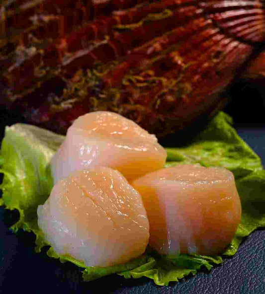 Scallop Meat - 500 grams SeaFiesta Seafood 